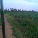 하단동1207 이미지