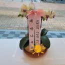 해바라기 손세차 이미지