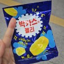 누가 돌아왔~게~ 조각 40