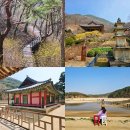 무섬마을 | 영주 당일치기 여행코스 추천 부석사 소수서원 무섬마을 버스여행 후기