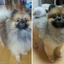 너나미용실 이미지