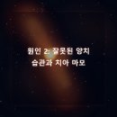 365효플란트치과의원 이미지