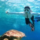 들꽃스테이 이미지