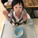 짝짝꿍