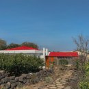 폴개우영 이미지