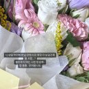효근포항