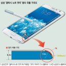 플렉스 이미지