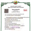 주식회사 성진여행사