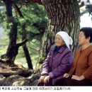 월악산 황토민박 산밑그루 | 충북 / 제천 / [길따라 삶따라] 제천 금수산 상천리 산수유마을