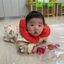 소예공간 | 하남 백일사진 소예공간 달항아리 백일상 스튜디오 내돈내산 찐후기