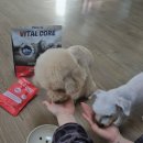 말랑말랑 이미지