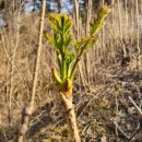 토속농장 | 한국기행 깻잎김치 영덕 농장 주문 알아보기(발효식탁)