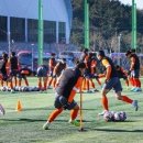 삼척복합체육공원 축구장 이미지