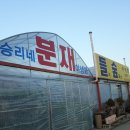 들과숲속에