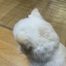 부평구점집 종합운 봐주는 도솔사