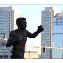 MS복싱아카데미 이미지