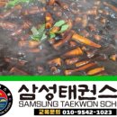 삼성태권스쿨 이미지