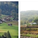 약초농원민박 이미지