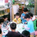 양문유치원 이미지