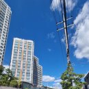 원호우리약국 이미지