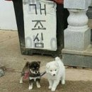 성수 이미지