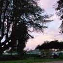 황등초등학교 이미지