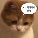 소못소랑 이미지