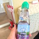 모스케이크(mos cake) | 🇯🇵 일본 삿포로 3박4일 여행 2일차 | 모스버거, 캄파나 롯카테이, 후라노·비에이 버스투어, 팜도미타...