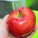 태봉농장 이미지