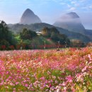 사계절풍경 이미지