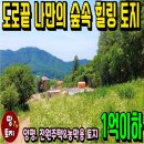 여주-0622 네이버블로그