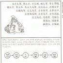 건강과약초 이미지