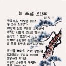 푸른&소나무 이미지