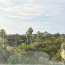 제주 자르뎅 이미지