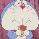 개귀여워 이미지