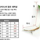 한빛태권도 이미지