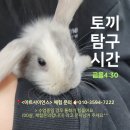 달에서온토끼학원