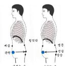 단전호흡스트레칭 네이버블로그