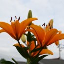 함께 떠나는 일본어 여행 이미지