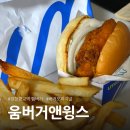 향교4로 | 양천향교역 버거 맛집 🍔 [움버거앤윙스] 버거 오리지널 세트 내돈내산 후기