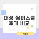 대성 썸머스쿨 후기 비교 자기주도학습의 완성