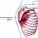 에르제 스튜디오 | 여성 회원님 3대 운동 원 포인트 레슨 녹번동 헬스장
