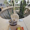 수정헤어샵 | 압구정메이크업 압구정헤어샵 추천 앤드뮤 헤어메이크업후기