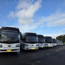 11650-7-2-16 | 제주도 쏠라티 렌트 16인승 기사포함 대여 가격 비교 및 예약 후기