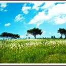 경산목장 이미지