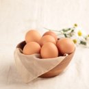 이장농장 이미지