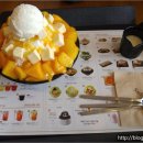 설빙속초점 이미지