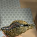 신진등촌골프연습장 | 2025년 11월 하루 (1)