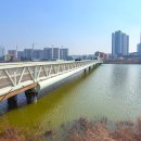 업성저수지 수변생태공원로 | 천안 가볼만한곳 성성호수공원 카페 산책로 볼거리