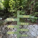 홍룡폭포(홍룡사) | 양산 제 4경 &lt;홍룡사, 홍룡폭포&gt;꿀팁+재방문후기